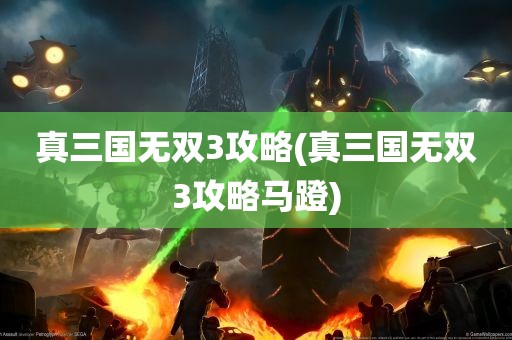 真三国无双3攻略(真三国无双3攻略马蹬)