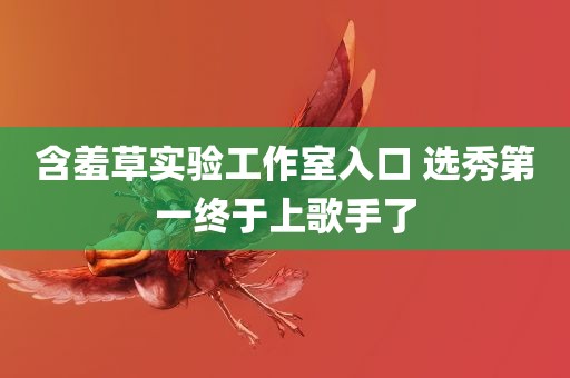 含羞草实验工作室入口 选秀第一终于上歌手了