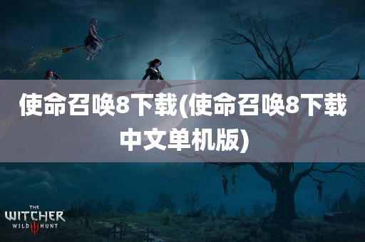 使命召唤8下载(使命召唤8下载中文单机版)