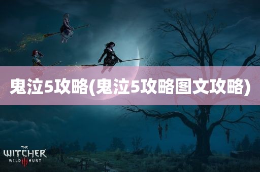 鬼泣5攻略(鬼泣5攻略图文攻略)