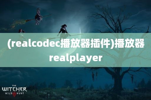 (realcodec播放器插件)播放器realplayer