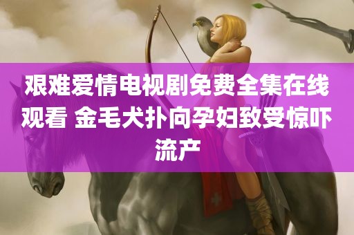 艰难爱情电视剧免费全集在线观看 金毛犬扑向孕妇致受惊吓流产