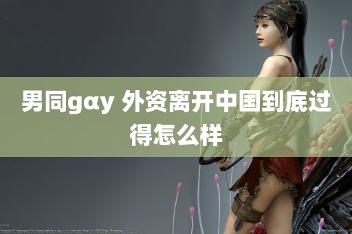 男同gαy 外资离开中国到底过得怎么样