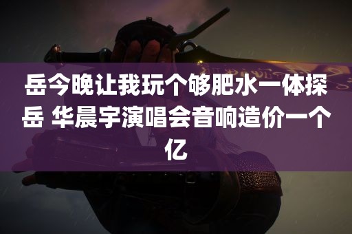 岳今晚让我玩个够肥水一体探岳 华晨宇演唱会音响造价一个亿