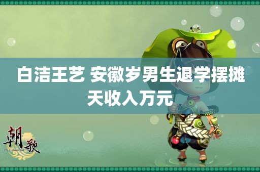 白洁王艺 安徽岁男生退学摆摊天收入万元