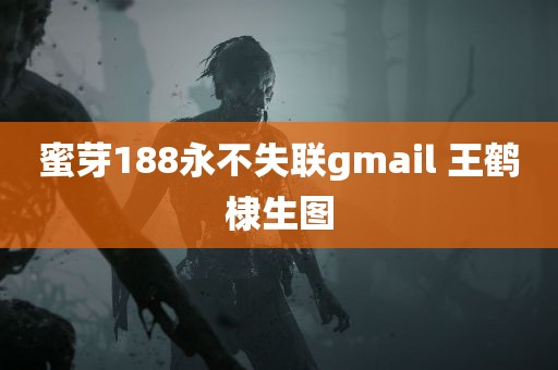 蜜芽188永不失联gmail 王鹤棣生图