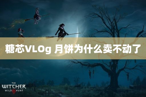 糖芯VLOg 月饼为什么卖不动了