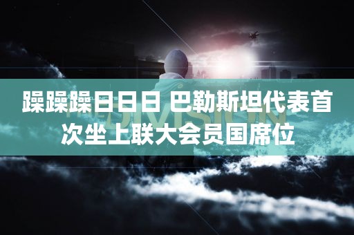 躁躁躁日日日 巴勒斯坦代表首次坐上联大会员国席位