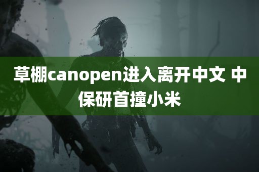 草棚canopen进入离开中文 中保研首撞小米