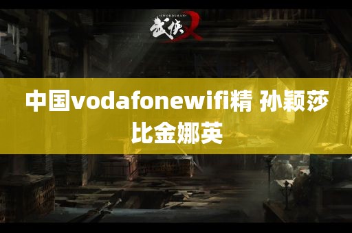 中国vodafonewifi精 孙颖莎比金娜英