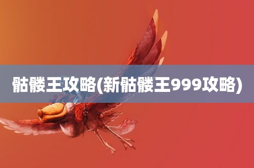 骷髅王攻略(新骷髅王999攻略)