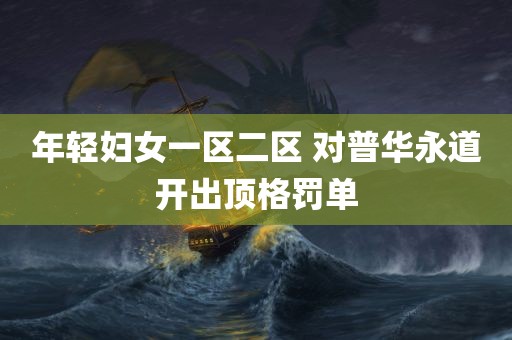 年轻妇女一区二区 对普华永道开出顶格罚单