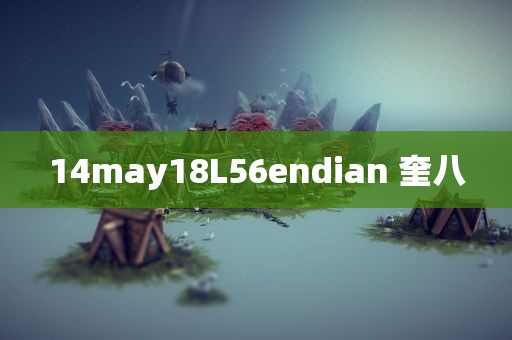 14may18L56endian 奎八