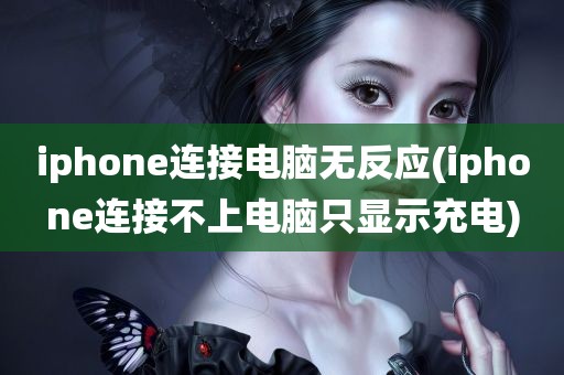 iphone连接电脑无反应(iphone连接不上电脑只显示充电)