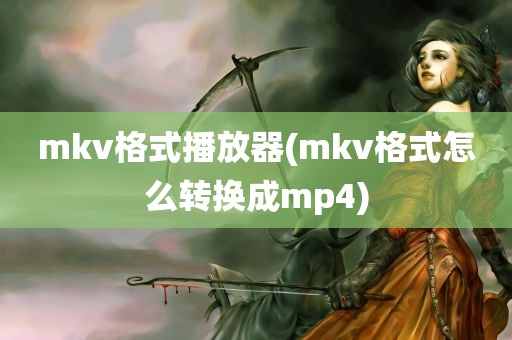 mkv格式播放器(mkv格式怎么转换成mp4)