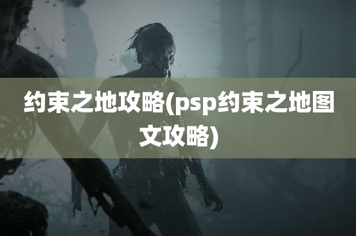 约束之地攻略(psp约束之地图文攻略)