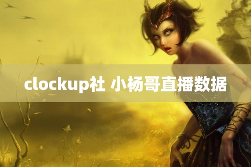 clockup社 小杨哥直播数据