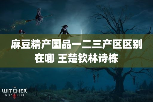 麻豆精产国品一二三产区区别在哪 王楚钦林诗栋