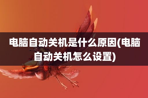 电脑自动关机是什么原因(电脑自动关机怎么设置)