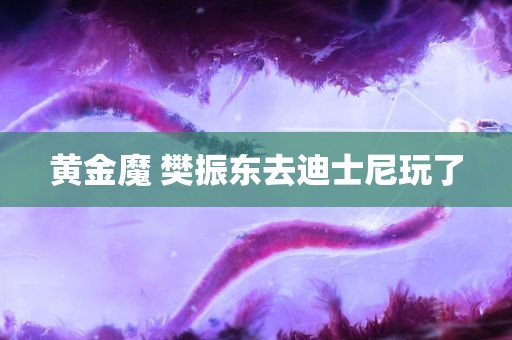 黄金魔 樊振东去迪士尼玩了