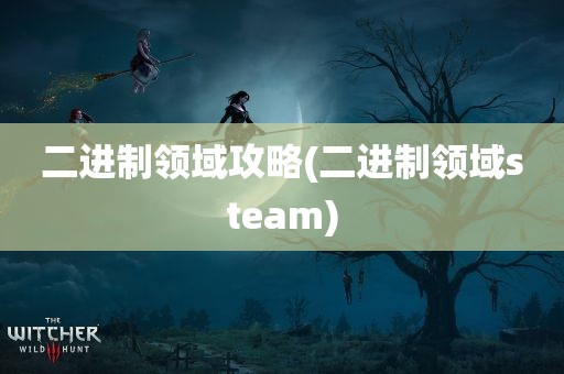 二进制领域攻略(二进制领域steam)