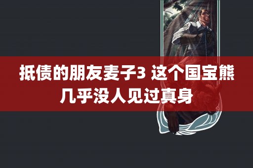 抵债的朋友麦子3 这个国宝熊几乎没人见过真身