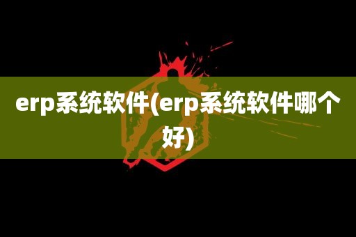 erp系统软件(erp系统软件哪个好)