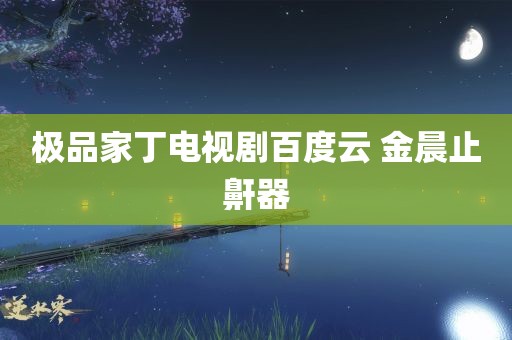 极品家丁电视剧百度云 金晨止鼾器