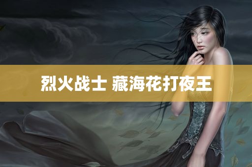 烈火战士 藏海花打夜王