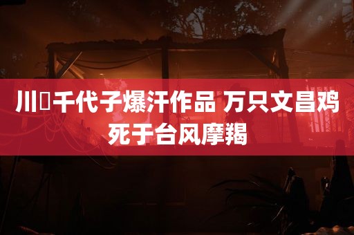 川畑千代子爆汗作品 万只文昌鸡死于台风摩羯