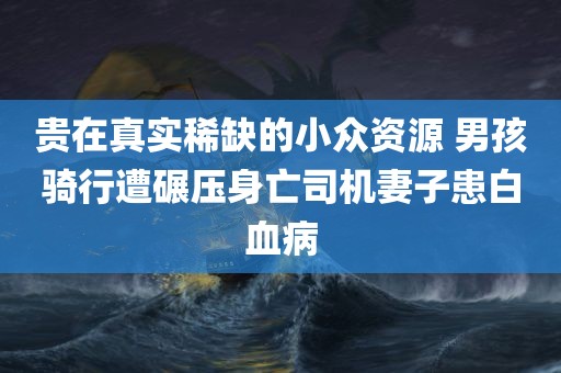 贵在真实稀缺的小众资源 男孩骑行遭碾压身亡司机妻子患白血病