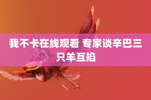 我不卡在线观看 专家谈辛巴三只羊互掐