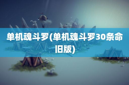 单机魂斗罗(单机魂斗罗30条命旧版)