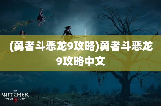 (勇者斗恶龙9攻略)勇者斗恶龙9攻略中文