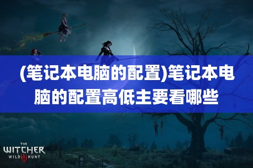 (笔记本电脑的配置)笔记本电脑的配置高低主要看哪些