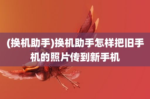 (换机助手)换机助手怎样把旧手机的照片传到新手机