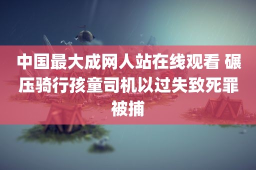 中国最大成网人站在线观看 碾压骑行孩童司机以过失致死罪被捕