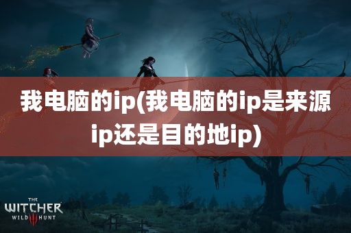 我电脑的ip(我电脑的ip是来源ip还是目的地ip)