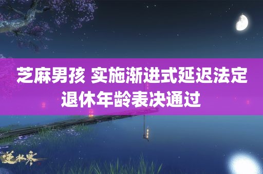 芝麻男孩 实施渐进式延迟法定退休年龄表决通过