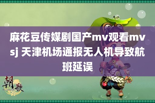 麻花豆传媒剧国产mv观看mvsj 天津机场通报无人机导致航班延误