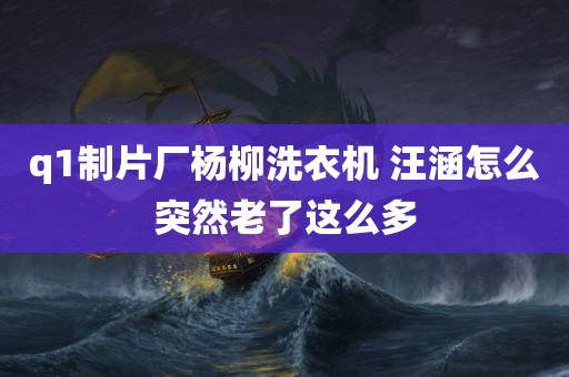 q1制片厂杨柳洗衣机 汪涵怎么突然老了这么多