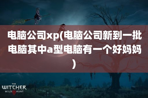 电脑公司xp(电脑公司新到一批电脑其中a型电脑有一个好妈妈)