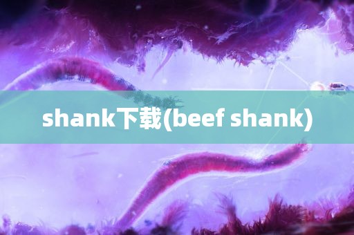 shank下载(beef shank)