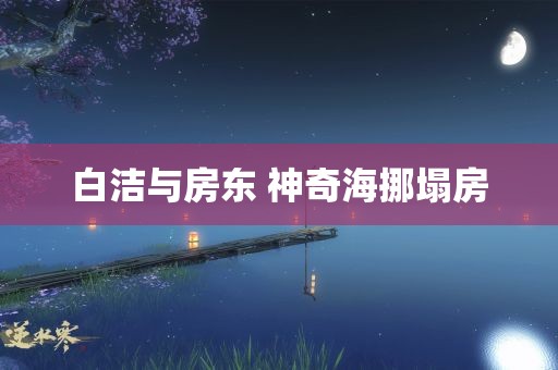 白洁与房东 神奇海挪塌房