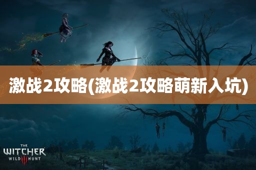 激战2攻略(激战2攻略萌新入坑)