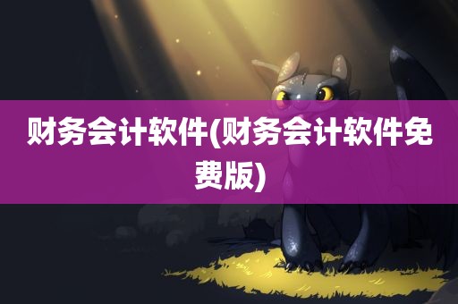 财务会计软件(财务会计软件免费版)