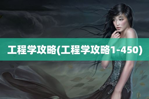 工程学攻略(工程学攻略1-450)