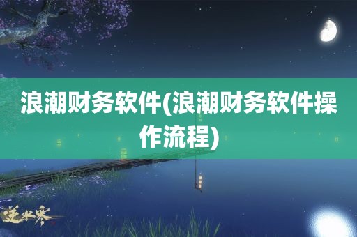 浪潮财务软件(浪潮财务软件操作流程)