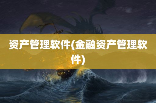 资产管理软件(金融资产管理软件)