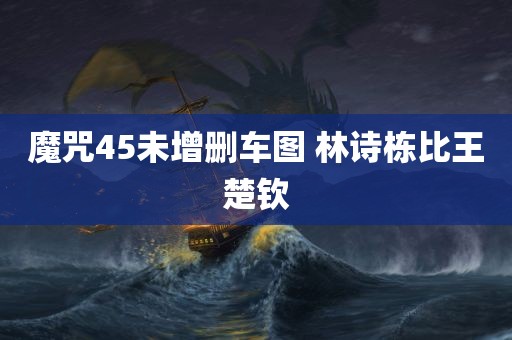 魔咒45未增删车图 林诗栋比王楚钦